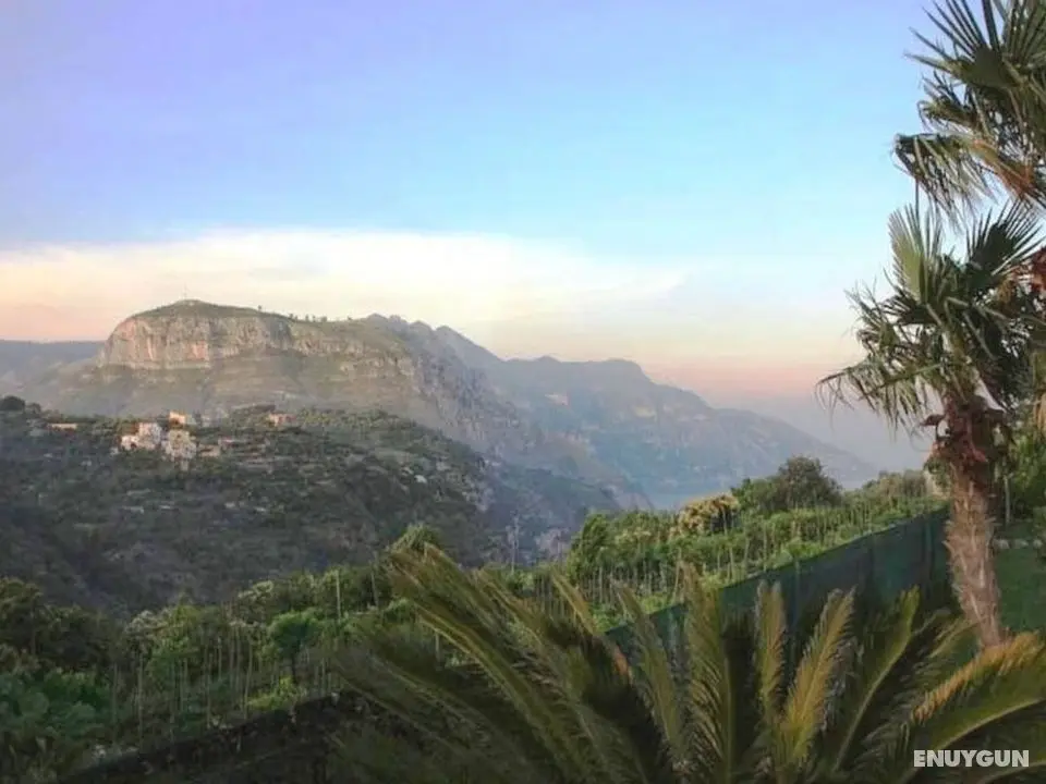 Villa La Pace - Oda Manzaraları