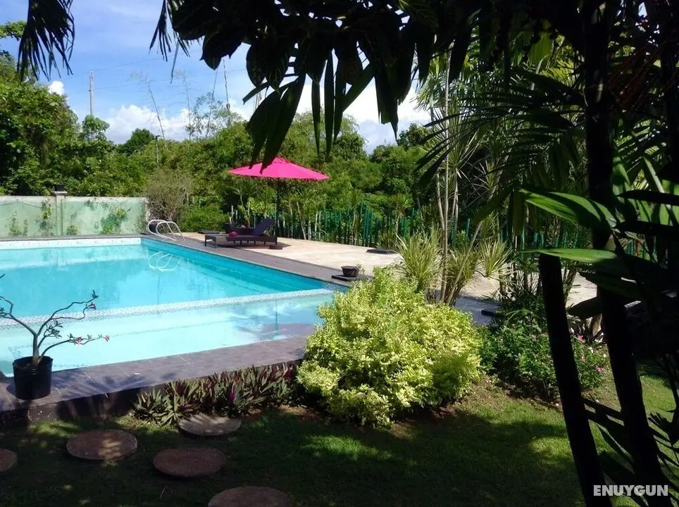 La Pernela Beachfront Resort - Havuz