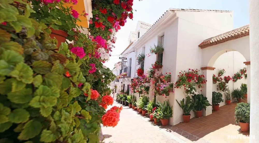Hotel La Posada - Öne Çıkan Resim