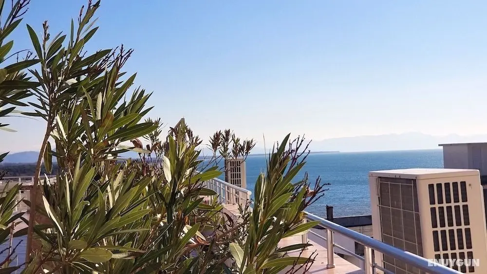 Hotel La Rosa Negra - Oda Düzeni