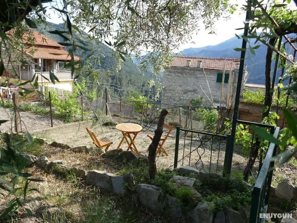 la Rovere Collabassa - Oda