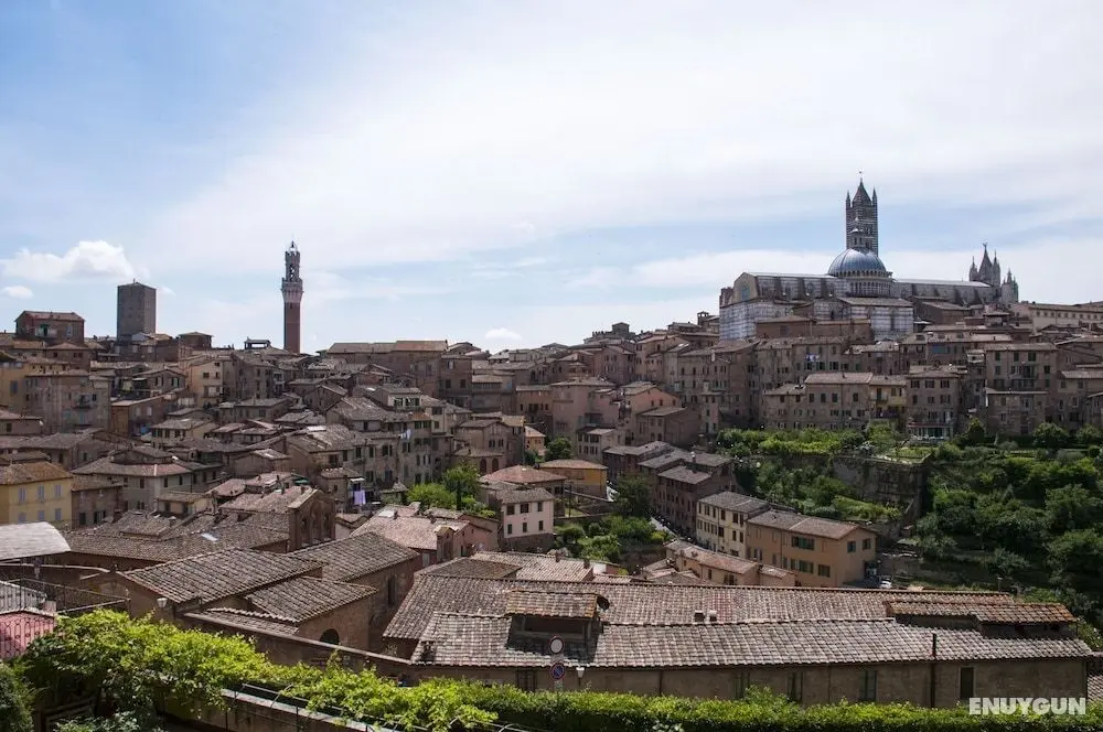 La Sapienza Di Al - Oda Manzaraları