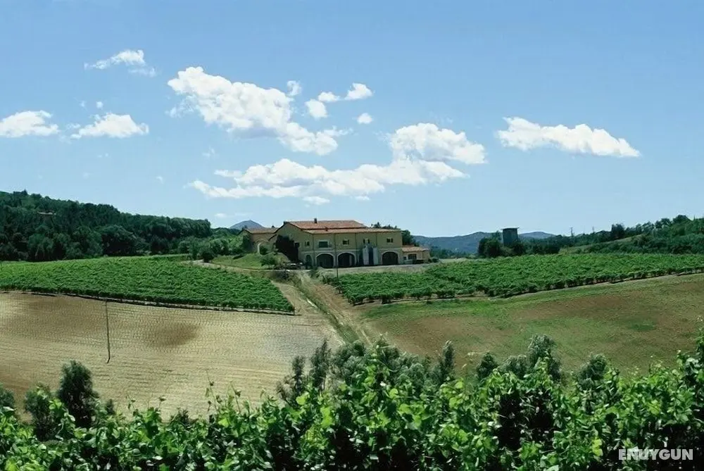 La Tenuta La Meirana - Şaraphane