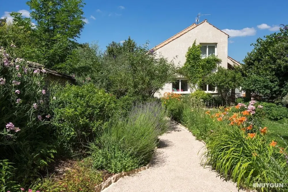 La Terre D'Or - Chambre d'Hôtes - Öne Çıkan Resim