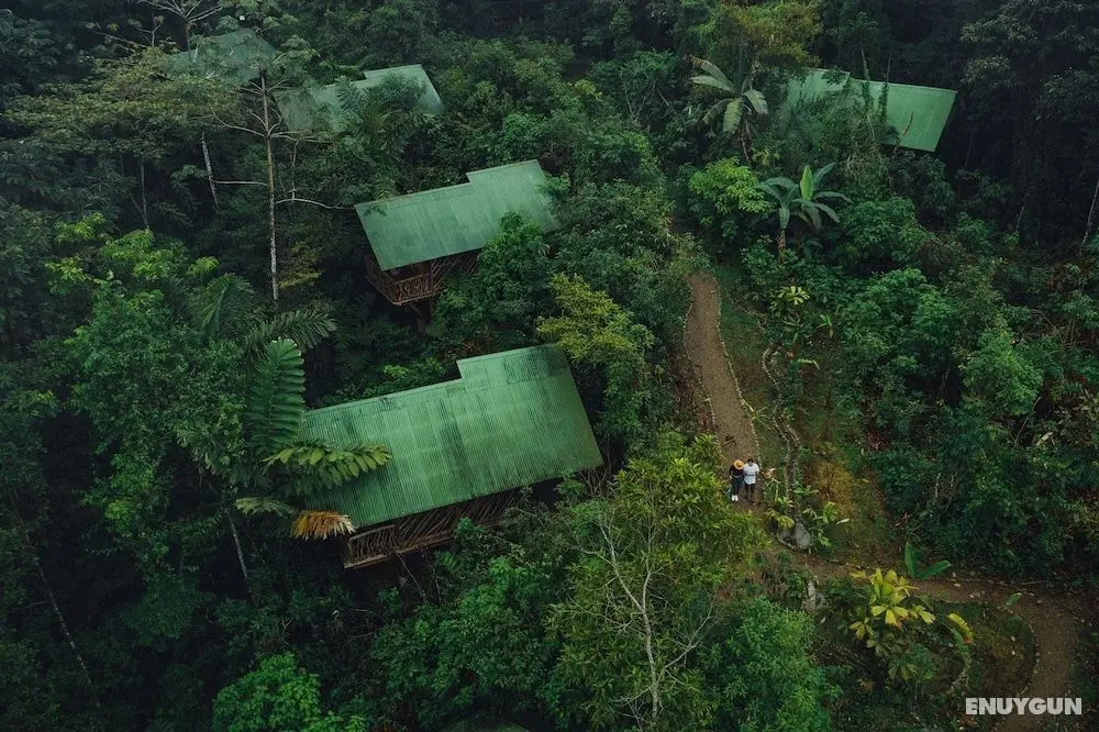 La Tigra Rainforest Lodge - Öne Çıkan Resim
