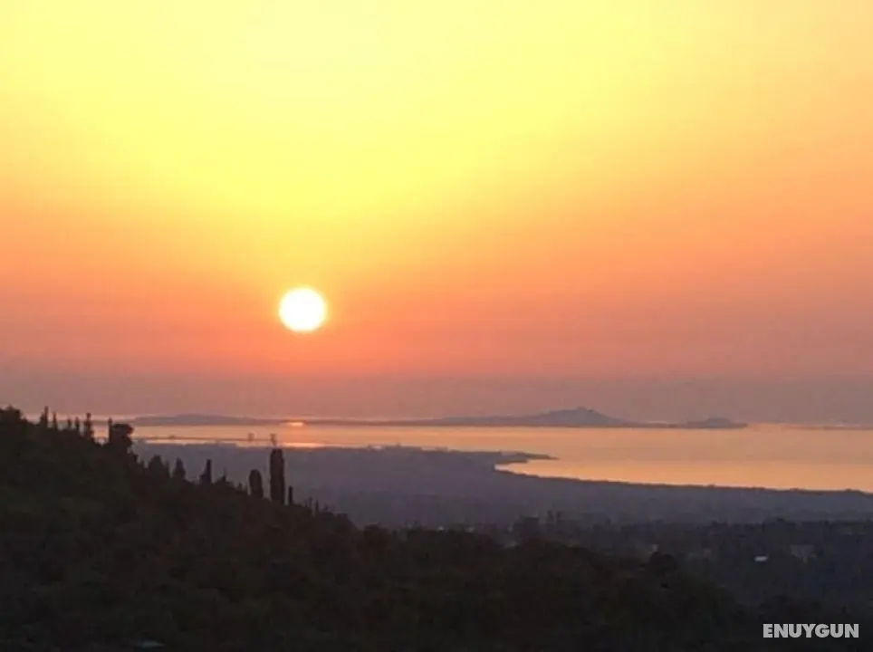 La Valle Dei Corbezzoli - Öne Çıkan Resim