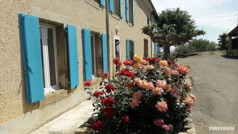 La Vigneronne - Öne Çıkan Resim