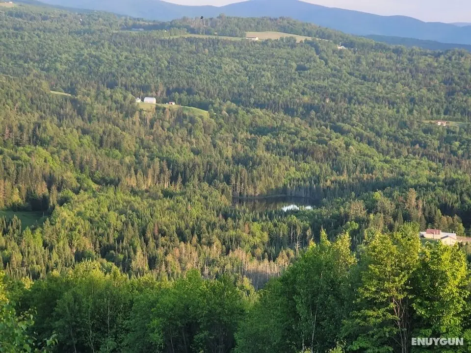 Ladd Pond Cabins and Campground - Dış Mekan