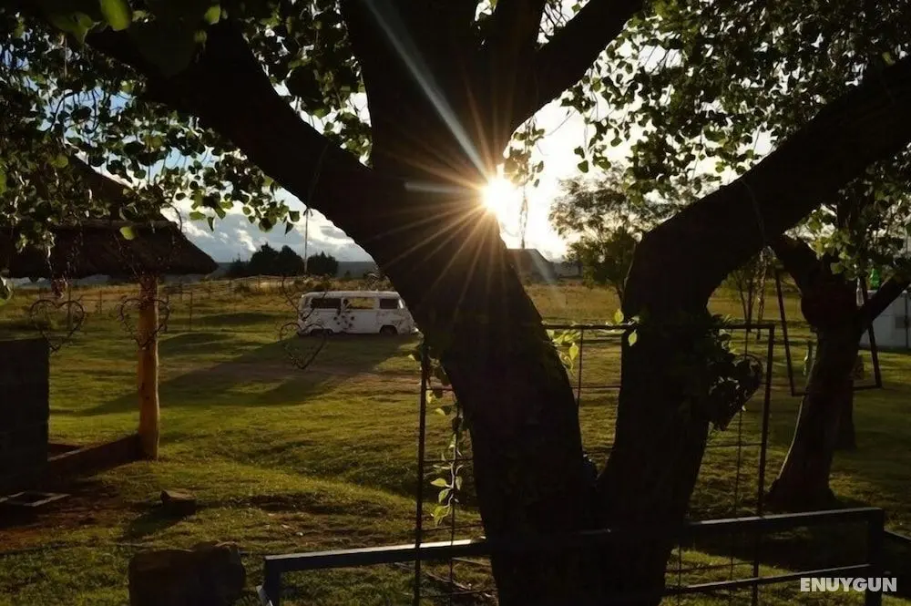 Ladybrand Khaya Farm Lodge - Öne Çıkan Resim