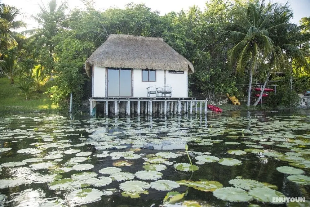 Lagoon Front Hut - Öne Çıkan Resim