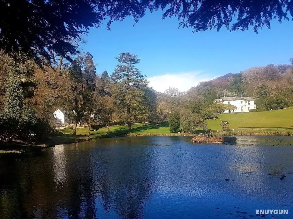 Lake View Villa - Rosecraddoc Manor - Öne Çıkan Resim