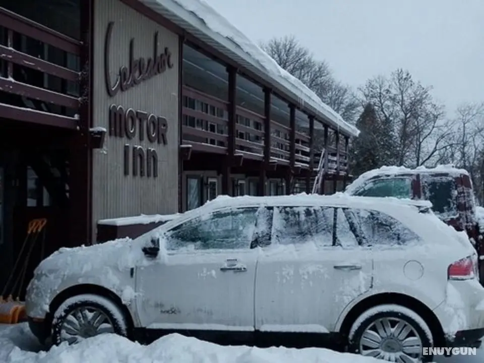 Lakeshor Motor Inn - Dış Mekan