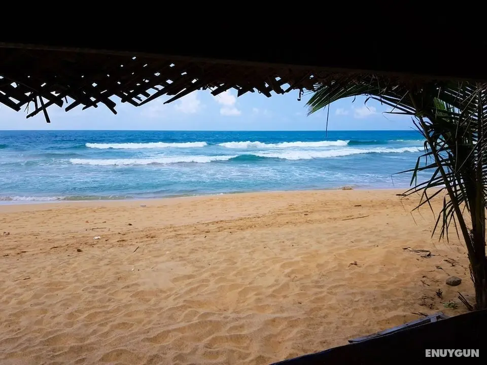 Lali's Hikkaduwa Homestay - Plaj