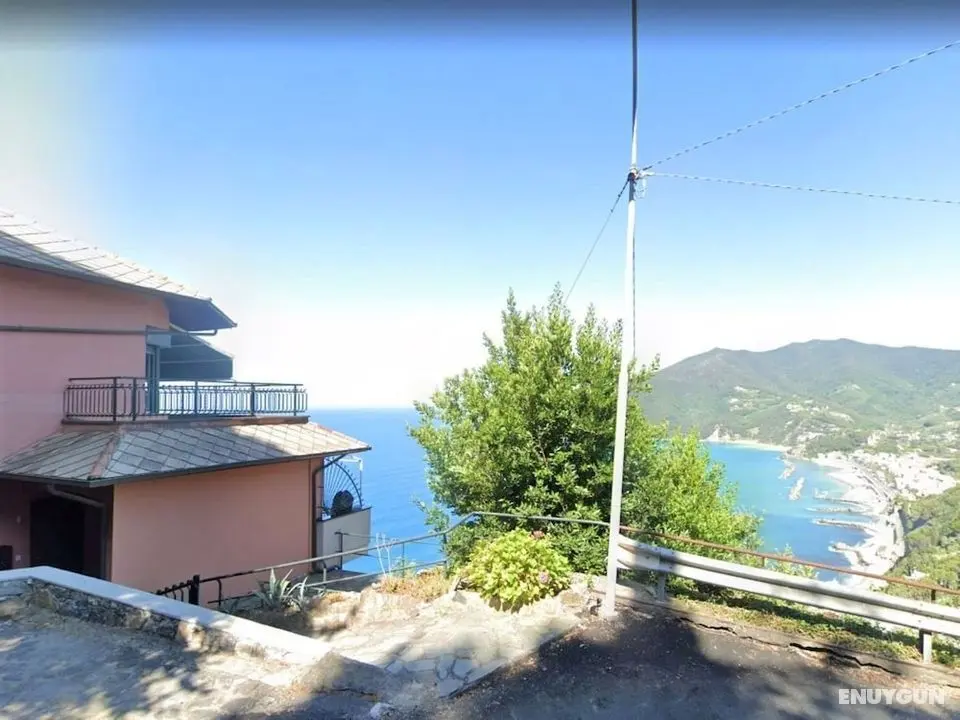 Lambrusca Moneglia in Moneglia - Oda