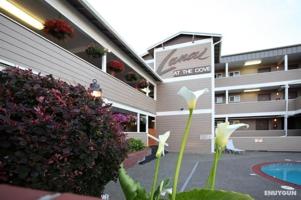 The Lanai At The Cove - Öne Çıkan Resim