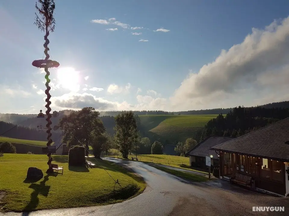 Landhotel Thälerhäusle Ochsen - Öne Çıkan Resim