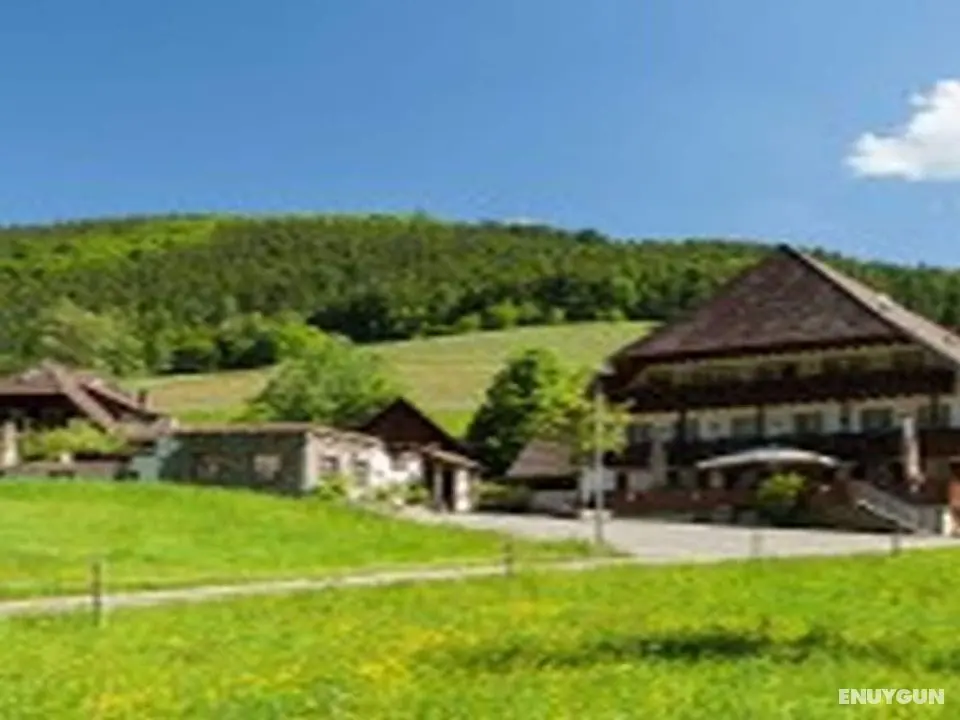 Landgasthaus Grüner Baum - Öne Çıkan Resim