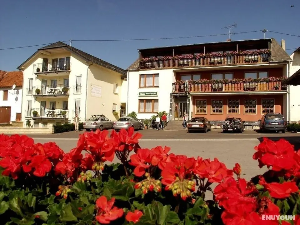 Landgasthaus Hoffmann - Dış Mekan
