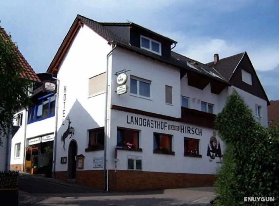 Hotel - Landgasthaus Zum Hirsch - Öne Çıkan Resim