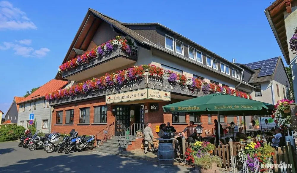 Landgasthaus Zur Linde - Öne Çıkan Resim