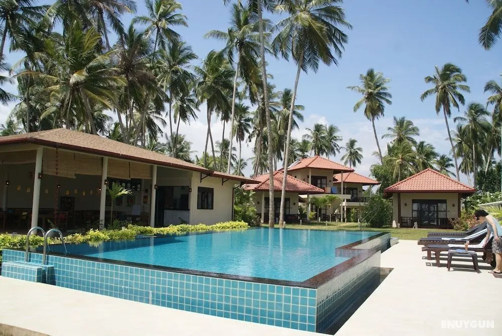 Lanka Beach Bungalows - Havuz