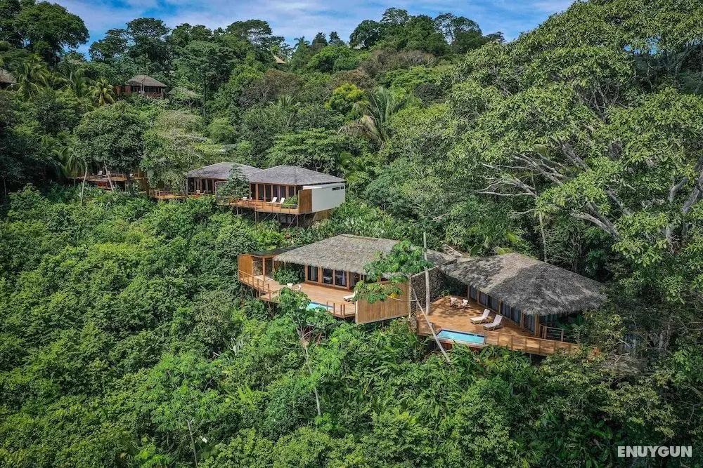 Lapa Rios Lodge - Öne Çıkan Resim