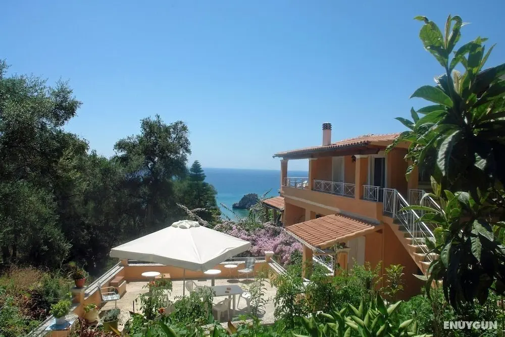 Large Apartment Tonia With sea View - Pelekas Beach, Corfu - Dış Mekanlar
