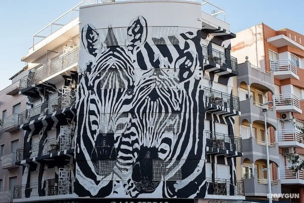 Las Cebras Apartamentos Turísticos - Öne Çıkan Resim