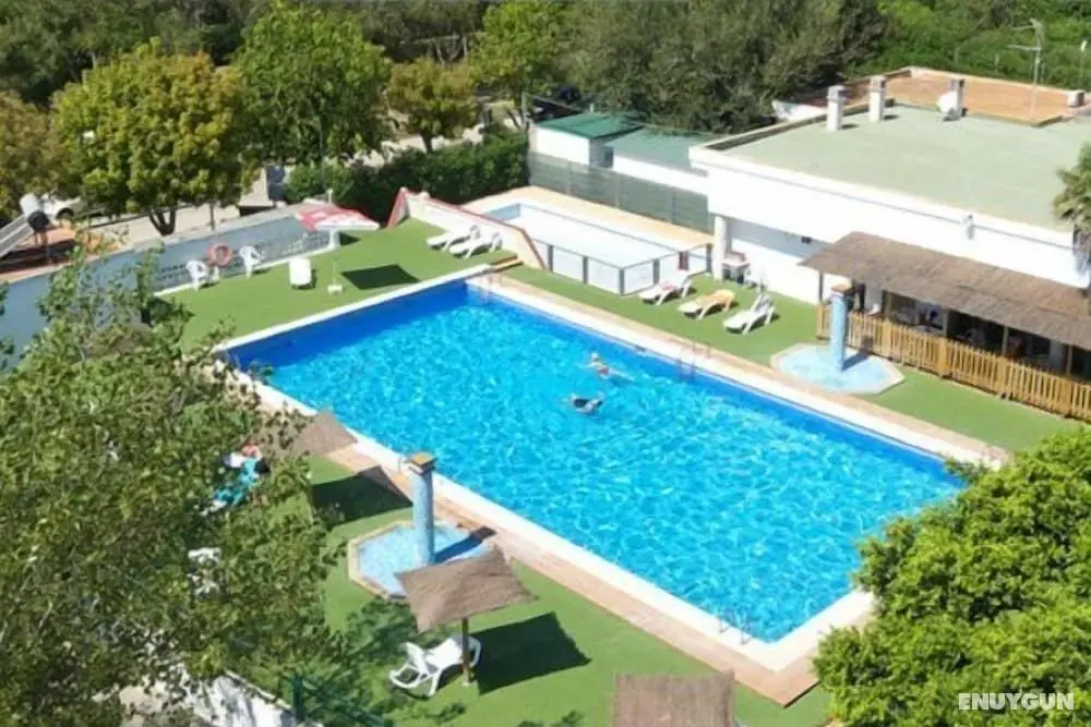 Las Fallas Camping - Öne Çıkan Resim