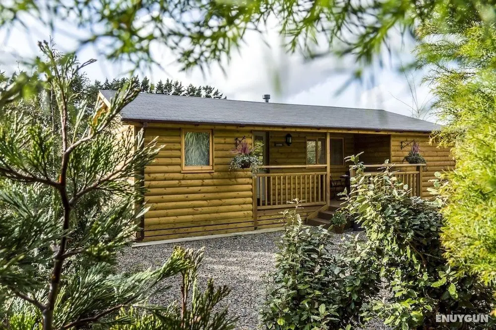 Laurel Lodge - Log Cabin - St Florence - Öne Çıkan Resim