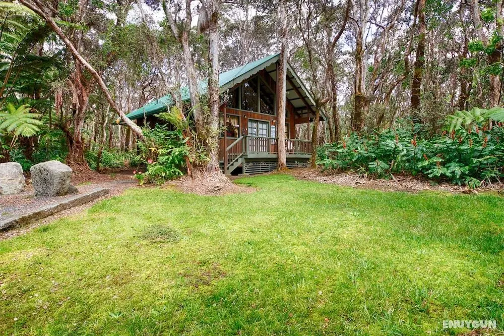 Lava Lodge at Hale Kilauea - Oda