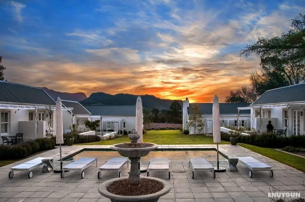 Lavender Farm Guest House - Dış Mekanlar