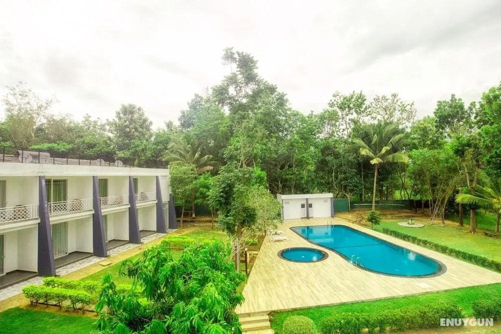 Lavendish Wild Safari Resort - Havuz