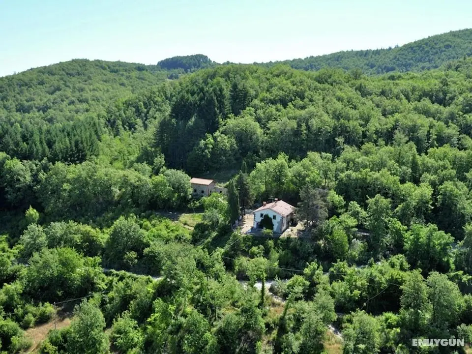 Lavish Farmhouse in Ortignano With Swimming Pool - Öne Çıkan Resim