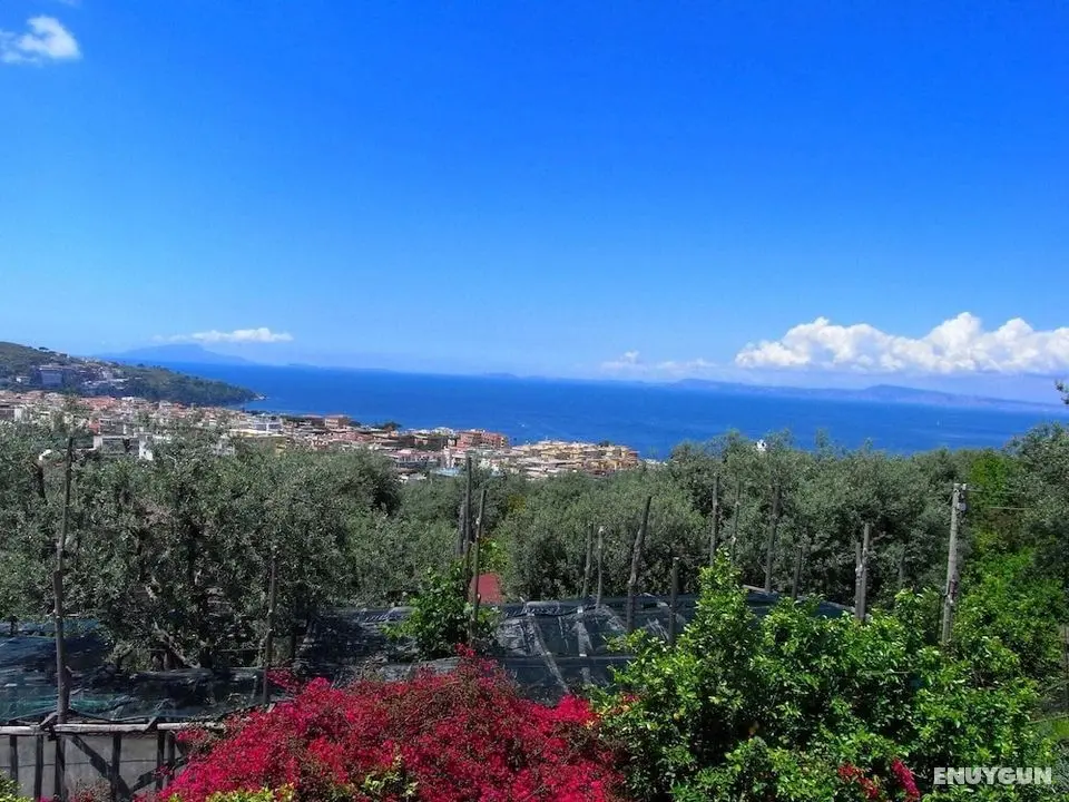 Lavish Mansion in Sorrento With Garden - Konum Öne Çıkanlar