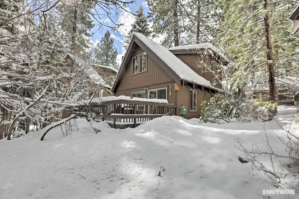 Lazy Bear Cabin - Öne Çıkan Resim