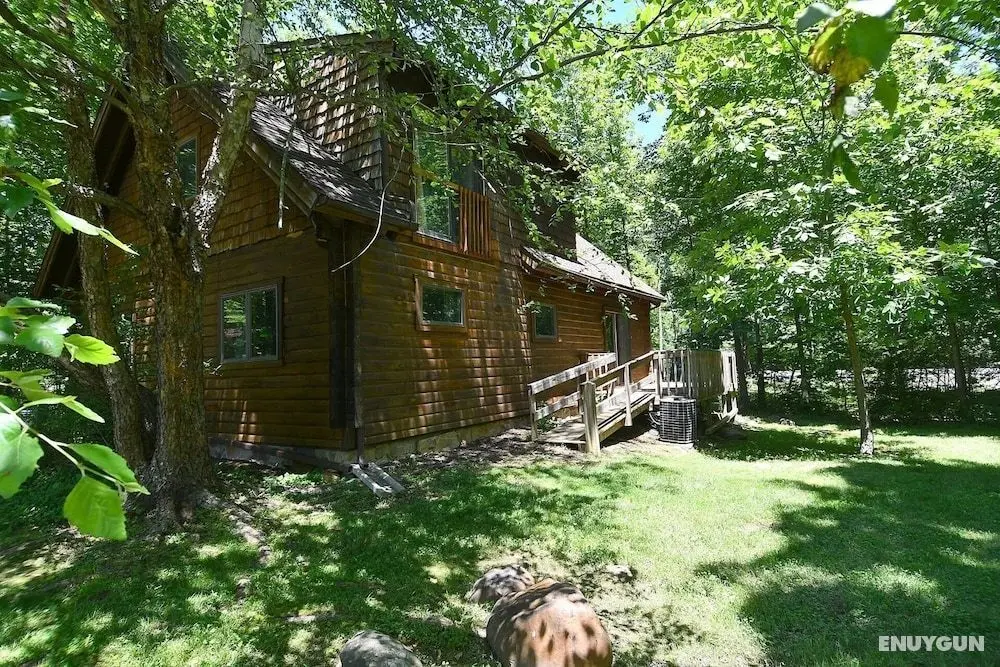 Lazy Bear Retreat - Öne Çıkan Resim
