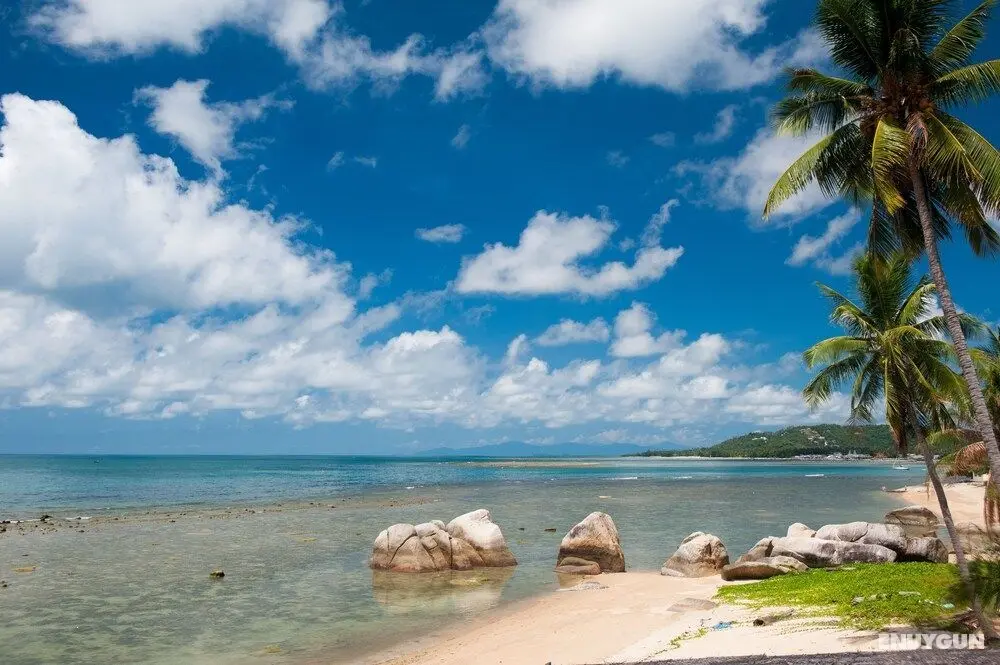 Lazy Days Samui Beach Resort - Öne Çıkan Resim