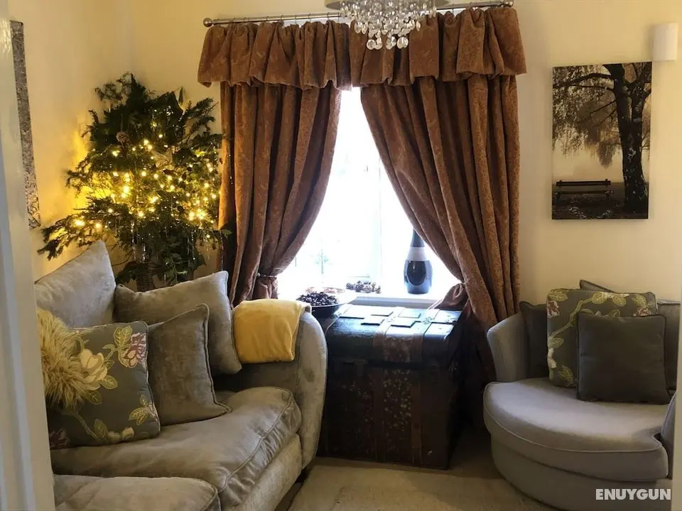 Lazy Nest is a Lazy Comfortable Nest to Laze - Öne Çıkan Resim