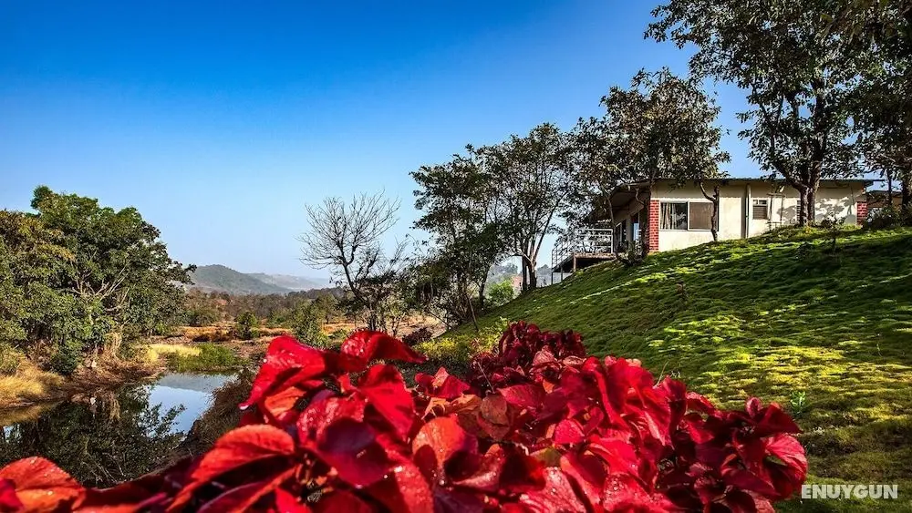 The Lazy River Cottage by cosmicstays - Dış Mekan