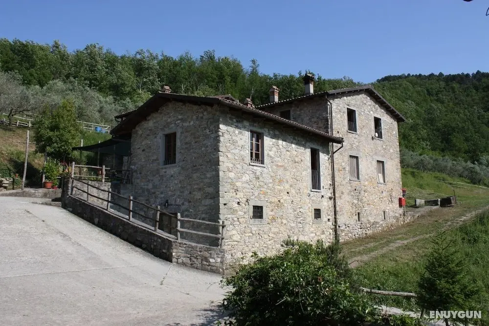 Le Chianine dei Tognoli - Öne Çıkan Resim