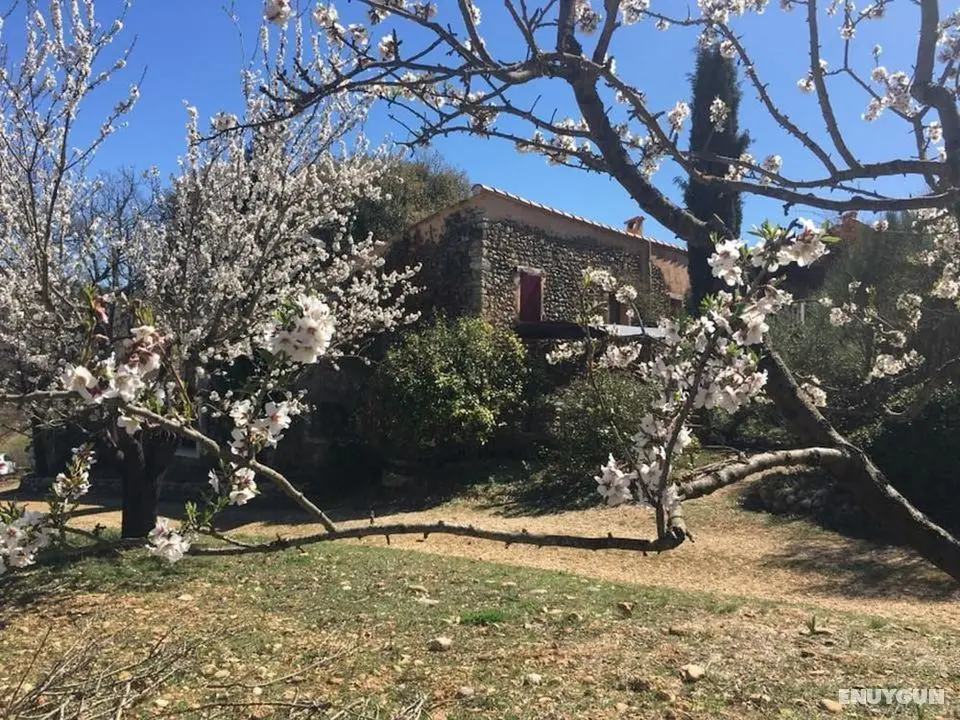 Le Clos des Collines. Chambre d'hôtes - Öne Çıkan Resim