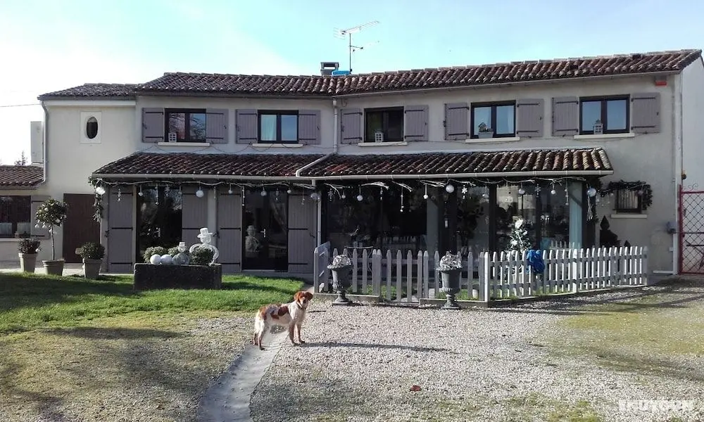 Le Grillage a Poules - Öne Çıkan Resim