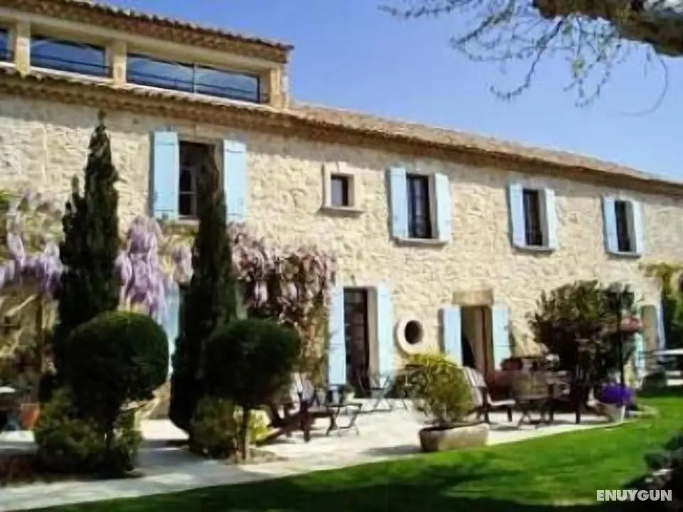 Le Mas de la Treille Bed & Breakfast - Öne Çıkan Resim