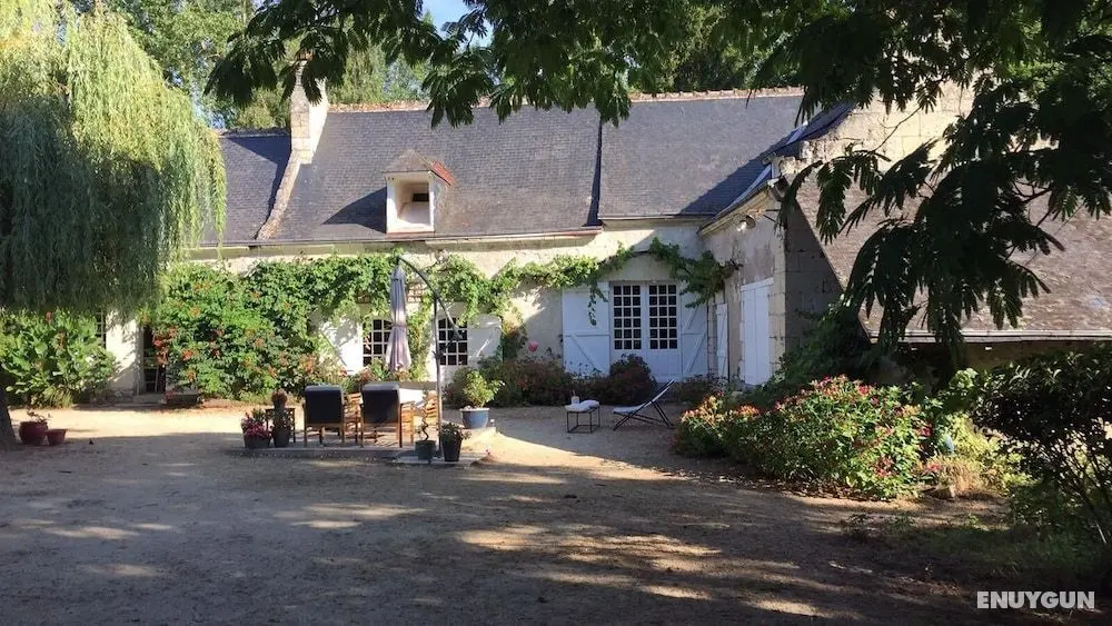Le Moulin Bertrand - Öne Çıkan Resim