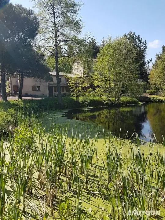 Le Moulin De Charin - Öne Çıkan Resim