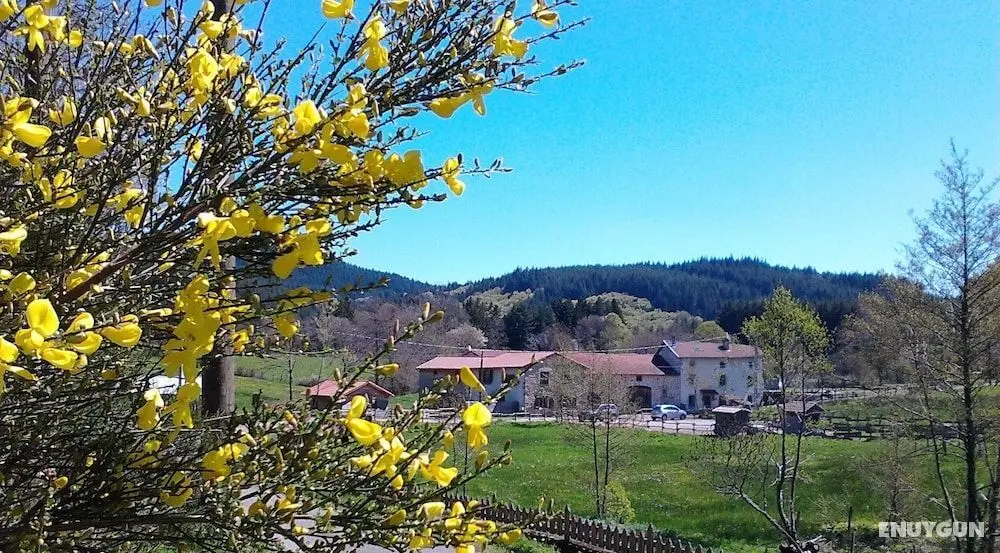Le Moulin de la Fortie - Konum Öne Çıkanlar