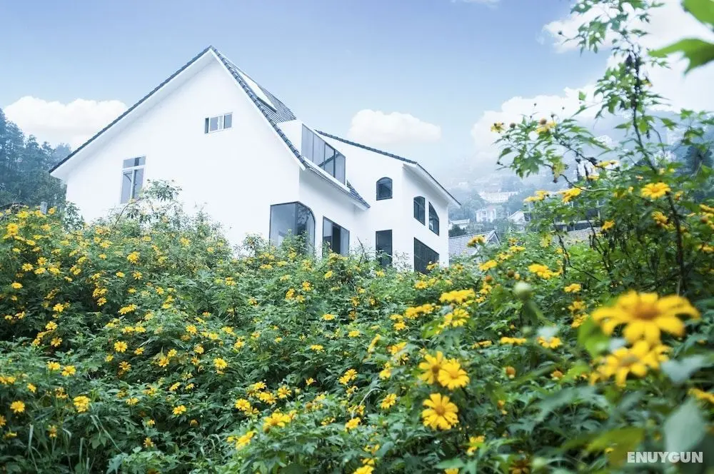 Le Vent Homestay Tam Dao - Öne Çıkan Resim