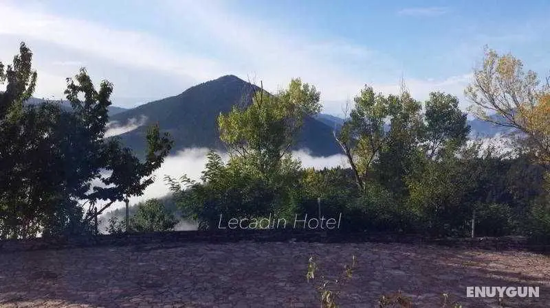 Lecadin - Genel