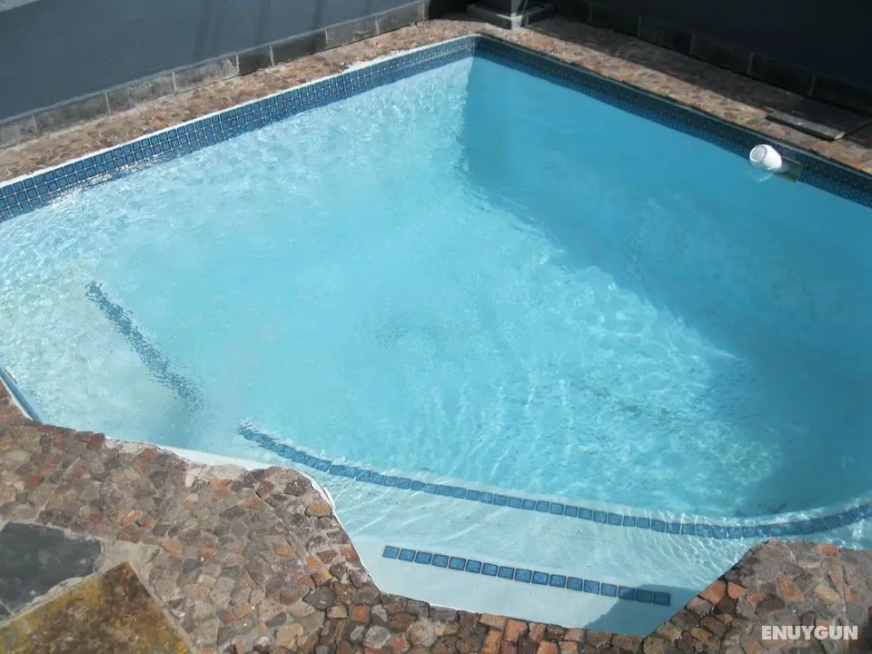 Leeuwenzee Guest House - Havuz